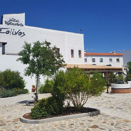 Hotel Entreolivos إل بيدروسو المظهر الخارجي الصورة