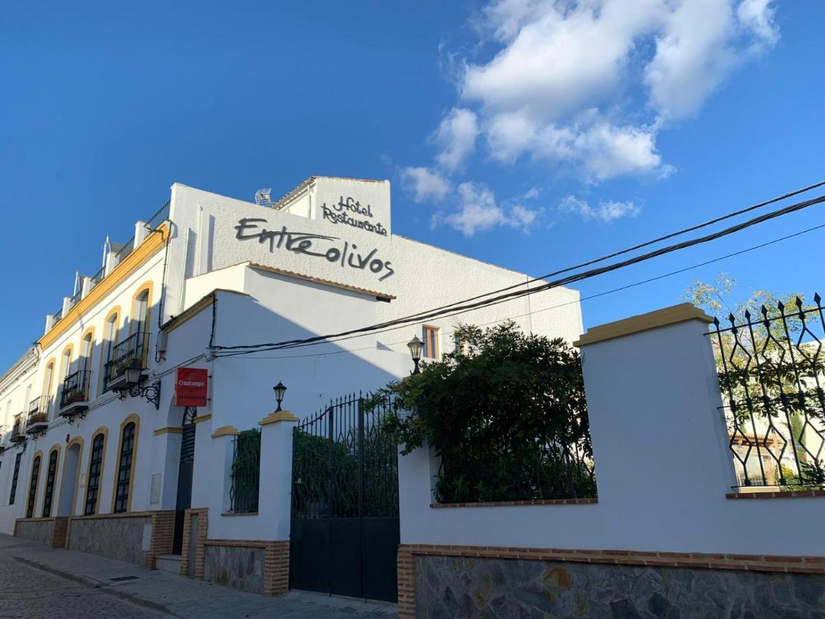 Hotel Entreolivos إل بيدروسو المظهر الخارجي الصورة