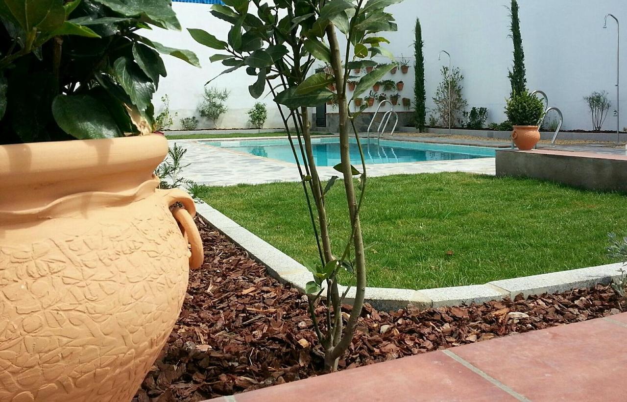 Hotel Entreolivos إل بيدروسو المظهر الخارجي الصورة